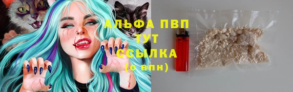 спиды Аркадак