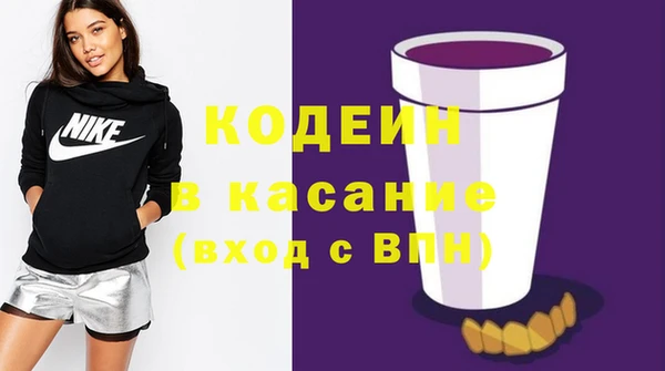 ПСИЛОЦИБИНОВЫЕ ГРИБЫ Арсеньев
