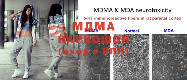 ПСИЛОЦИБИНОВЫЕ ГРИБЫ Арсеньев