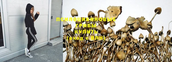 спиды Аркадак