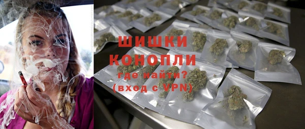 ПСИЛОЦИБИНОВЫЕ ГРИБЫ Арсеньев