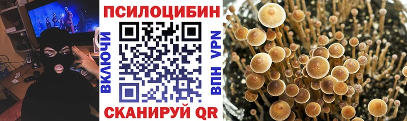 Псилоцибиновые грибы прущие грибы  где можно купить   Мышкин 